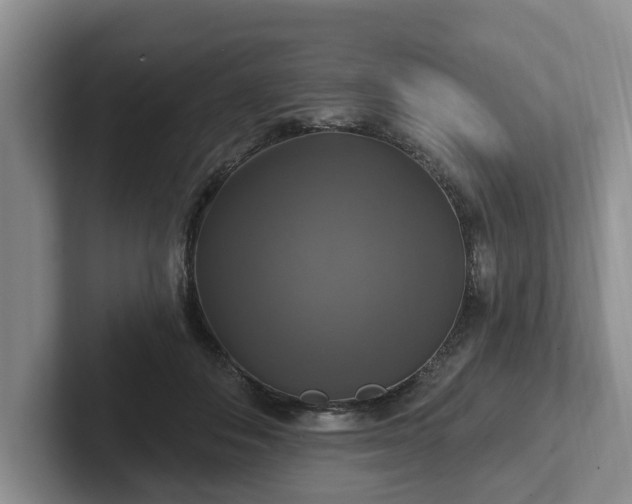 X0000102410506200808081327