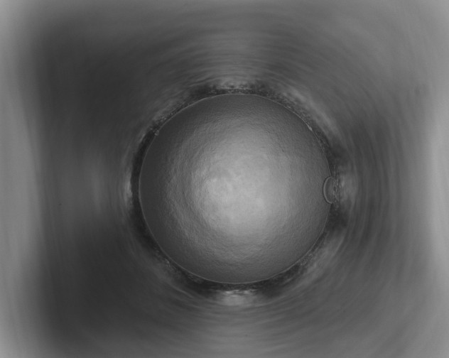 X0000102410508200808081327