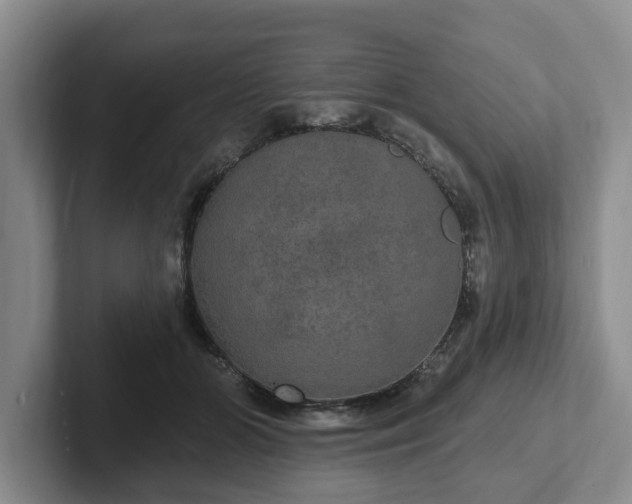 X0000102410510200808081327