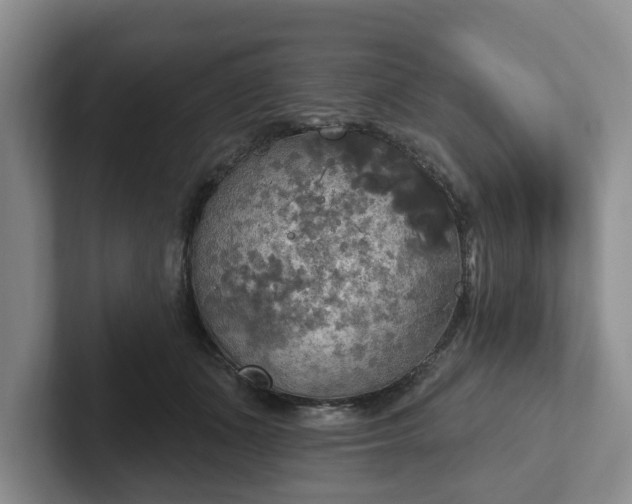 X0000102410511200808081327