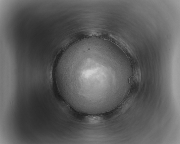 X0000102410512200808081327