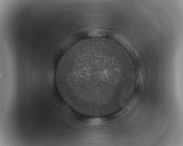 X0000102410513200808081327