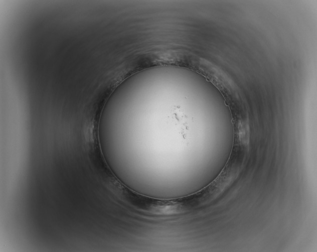 X0000102410514200808081327