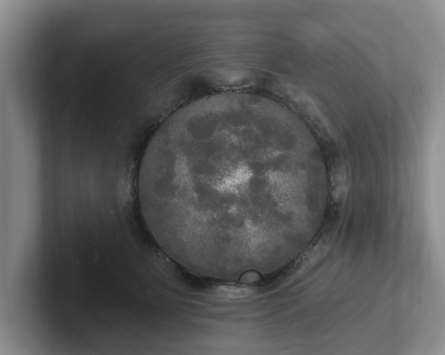 X0000102410515200808081327