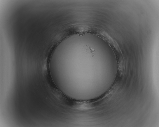 X0000102410516200808081327