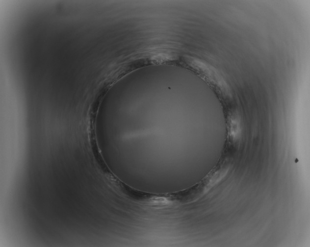 X0000102410519200808081327