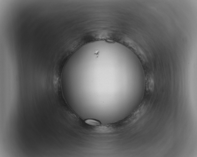 X0000102410521200808081327