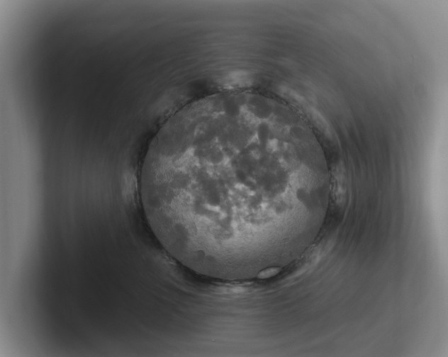 X0000102410523200808081327