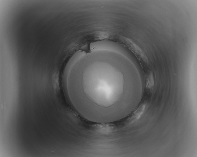 X0000102410524200808081327