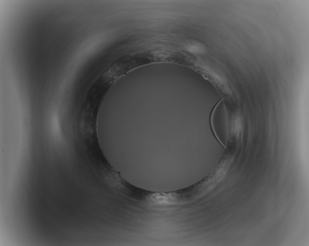 X0000102410526200808081327