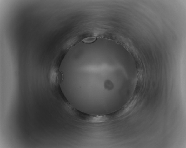 X0000102410527200808081327