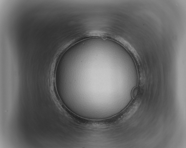 X0000102410529200808081326