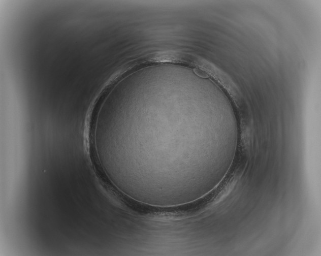 X0000102410530200808081326