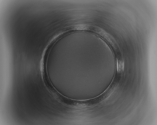 X0000102410531200808081326