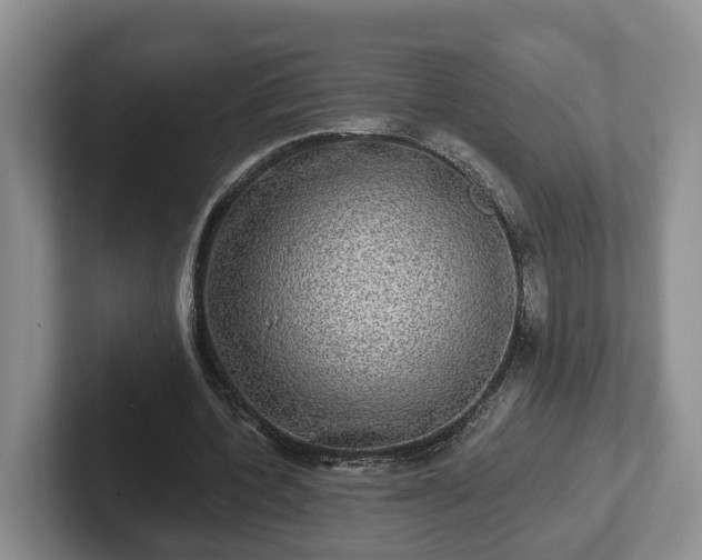 X0000102410532200808081326