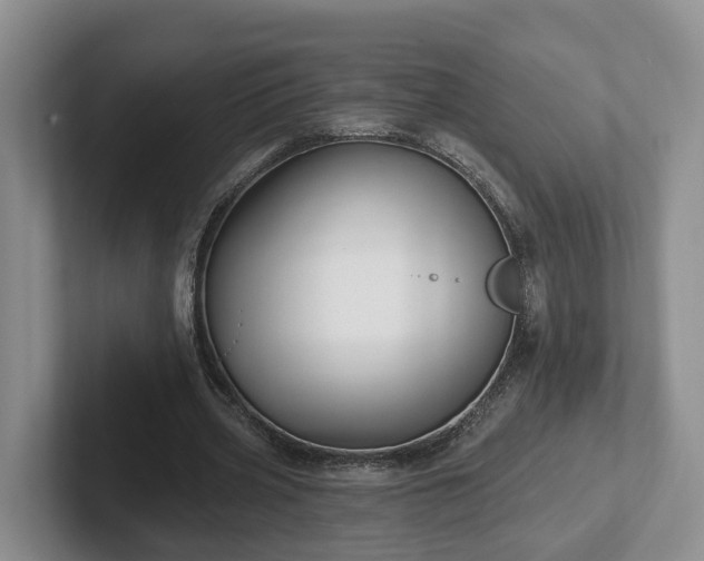 X0000102410533200808081326