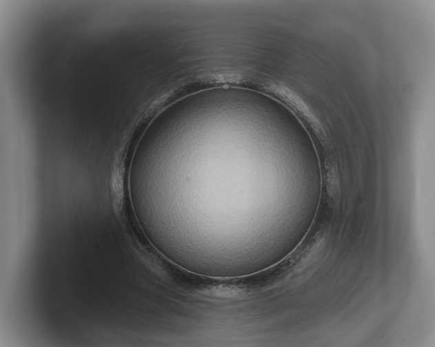 X0000102410537200808081326