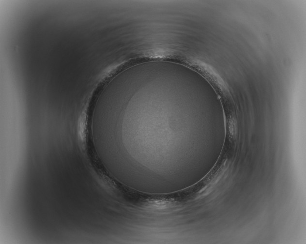 X0000102410540200808081326