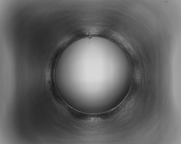 X0000102410543200808081326