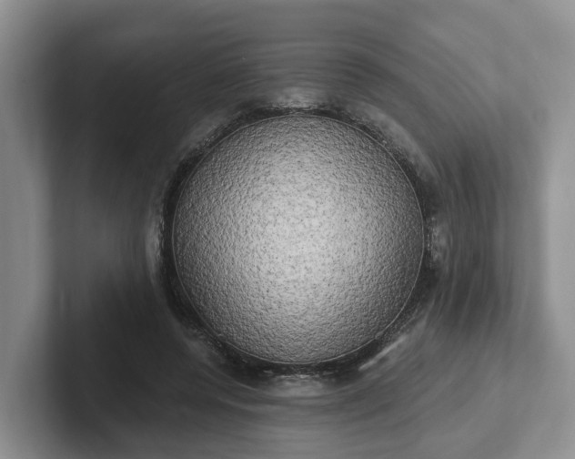 X0000102410544200808081326