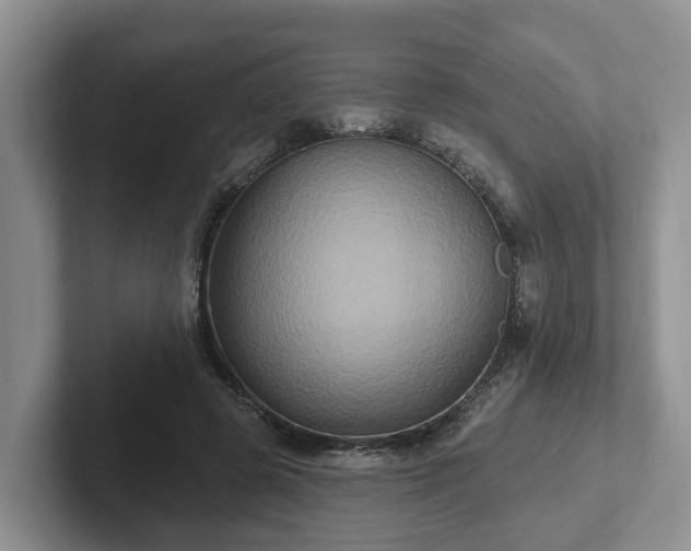 X0000102410545200808081326