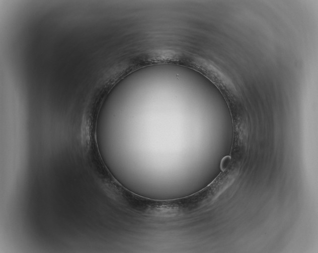 X0000102410546200808081326