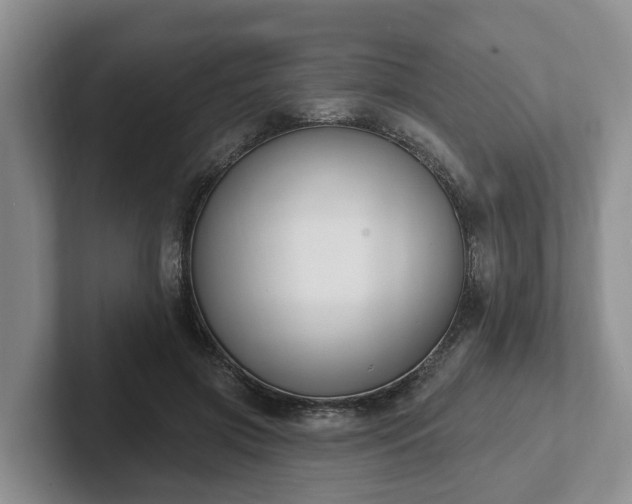 X0000102410549200808081326