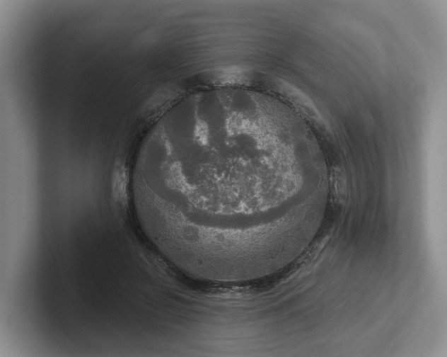 X0000102410550200808081326