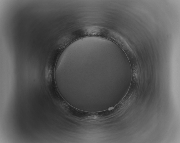 X0000102410551200808081326