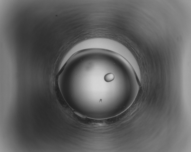 X0000102410552200808081326