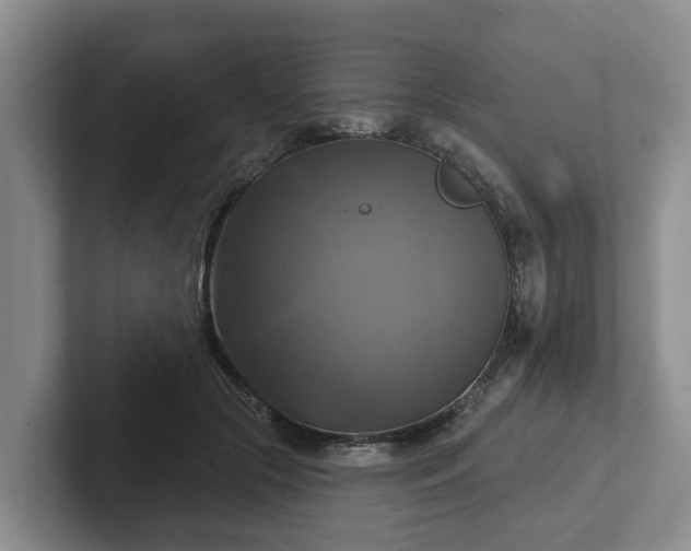 X0000102410553200808081326