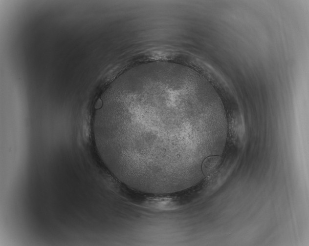 X0000102410554200808081326