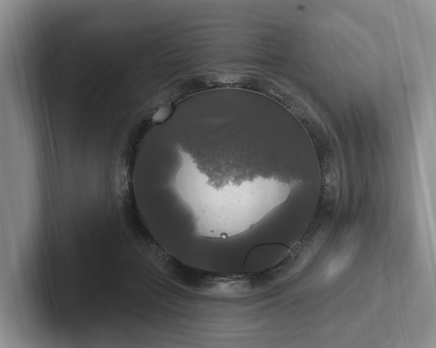 X0000102410555200808081327