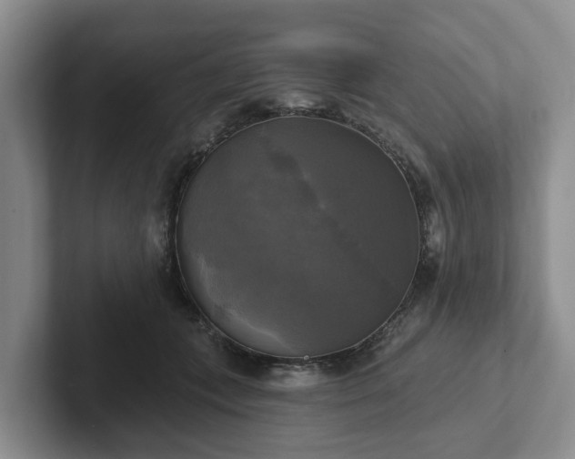 X0000102410559200808081327