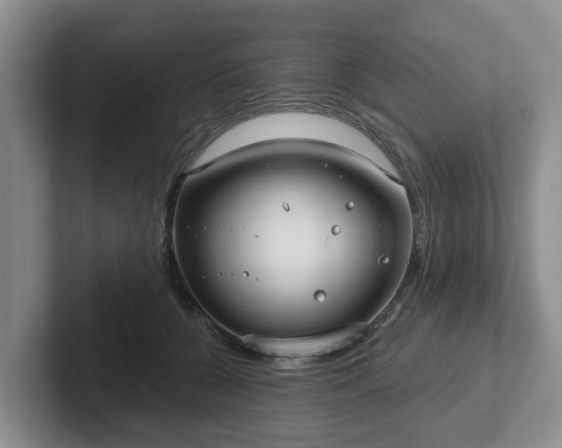 X0000102410560200808081327