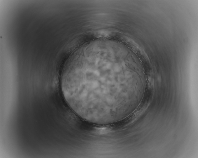 X0000102410561200808081327