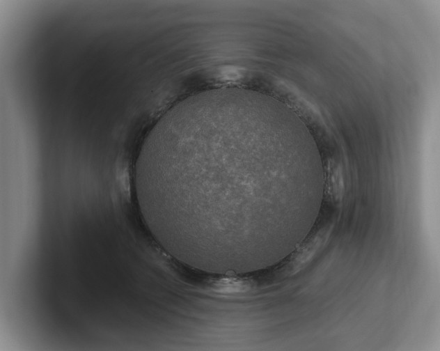 X0000102410562200808081327