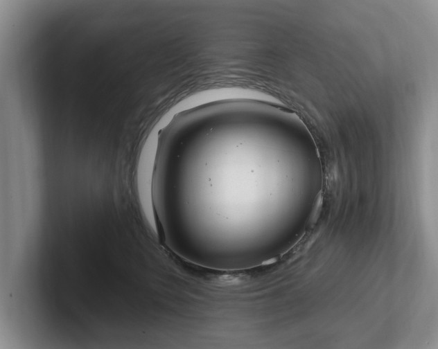 X0000102410566200808081327