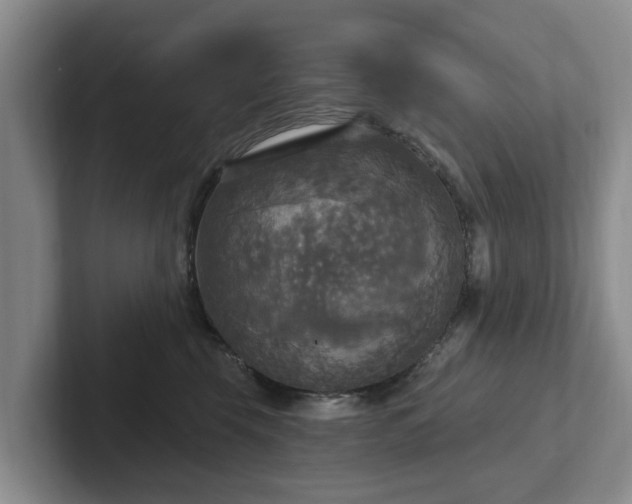 X0000102410569200808081327