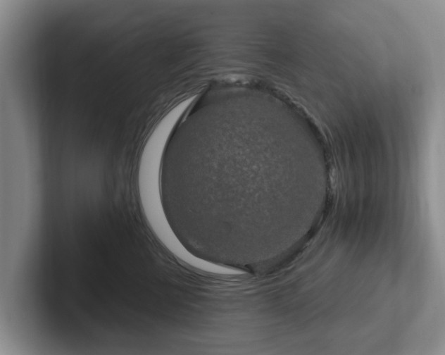 X0000102410570200808081327