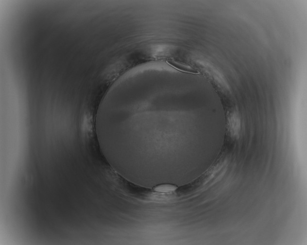 X0000102410571200808081327