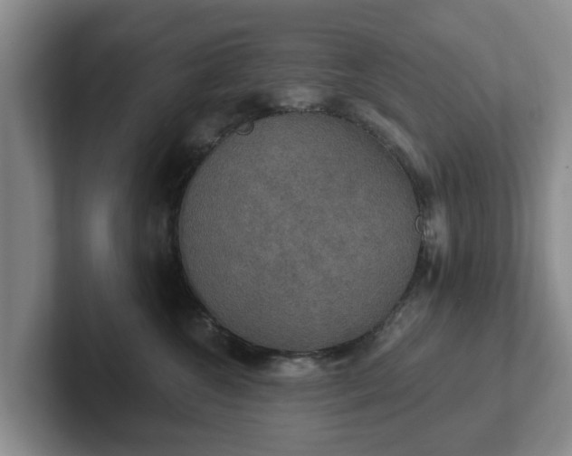 X0000102410572200808081327