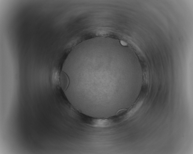 X0000102410575200808081327