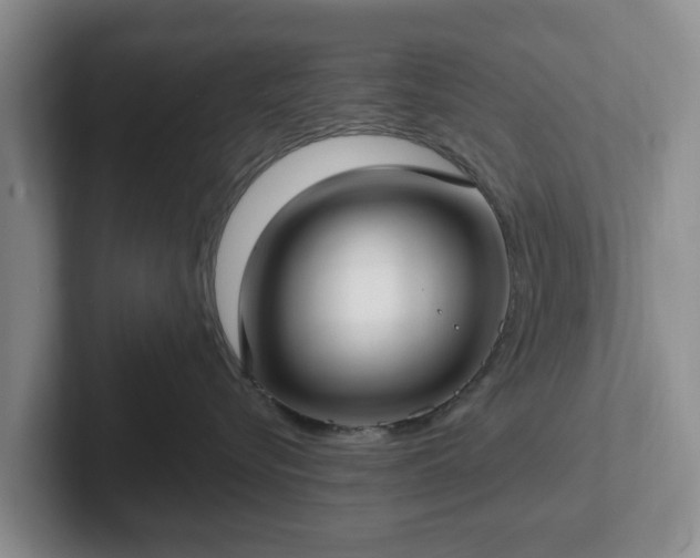 X0000102410576200808081327