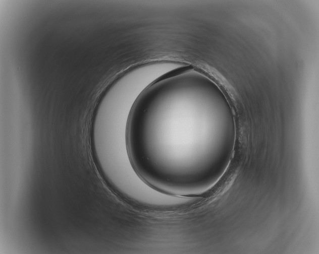 X0000102410577200808081326