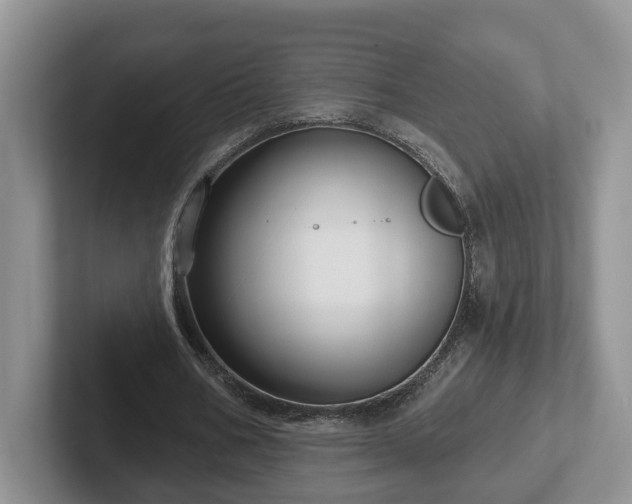 X0000102410578200808081326