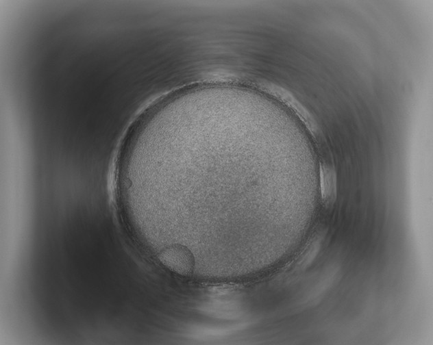 X0000102410579200808081326