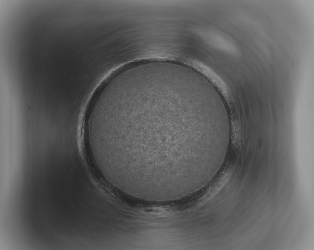 X0000102410580200808081326