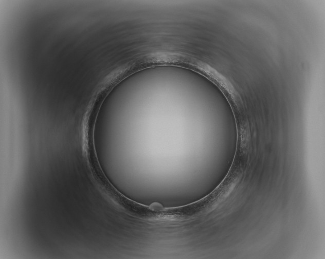 X0000102410581200808081326