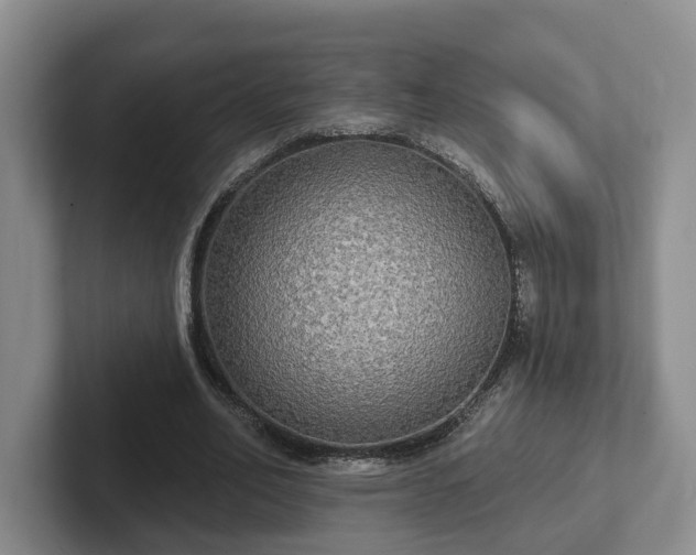 X0000102410582200808081326